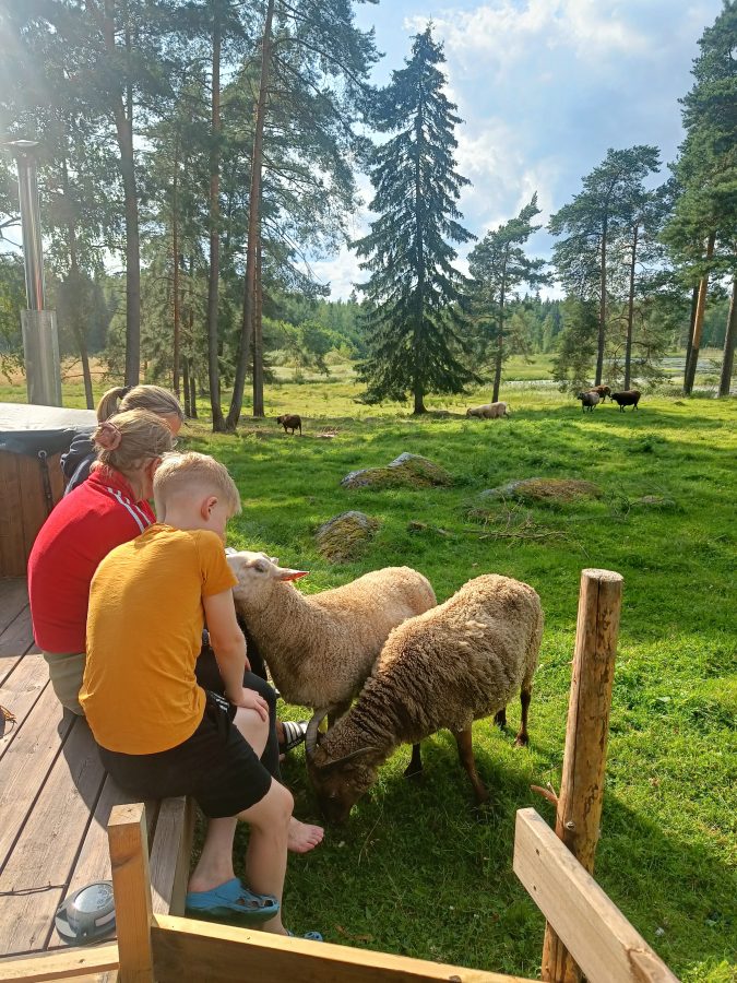 Taivasalla